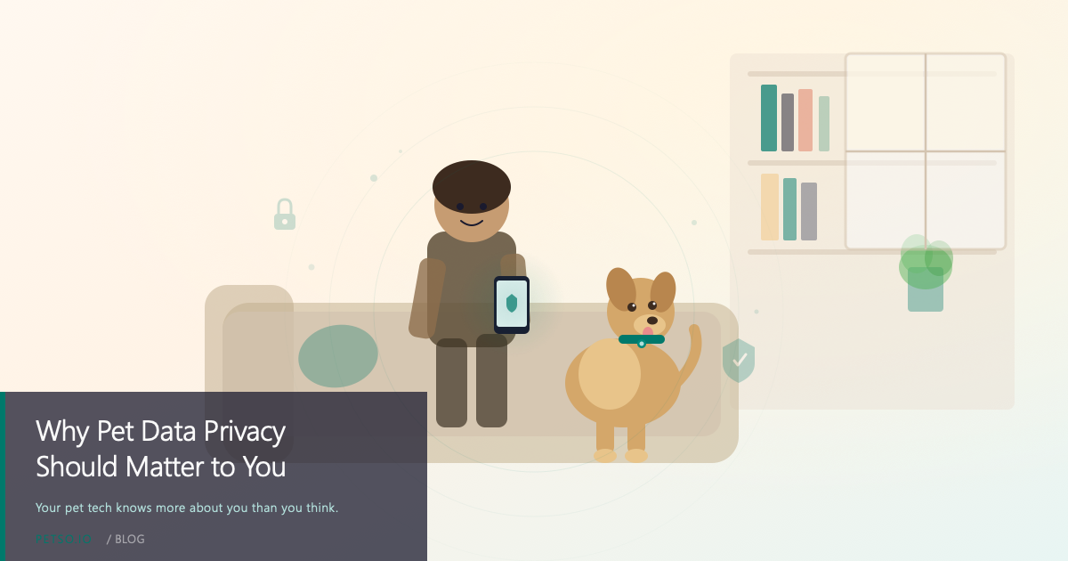 Why Pet Data Privacy Should Matter to You