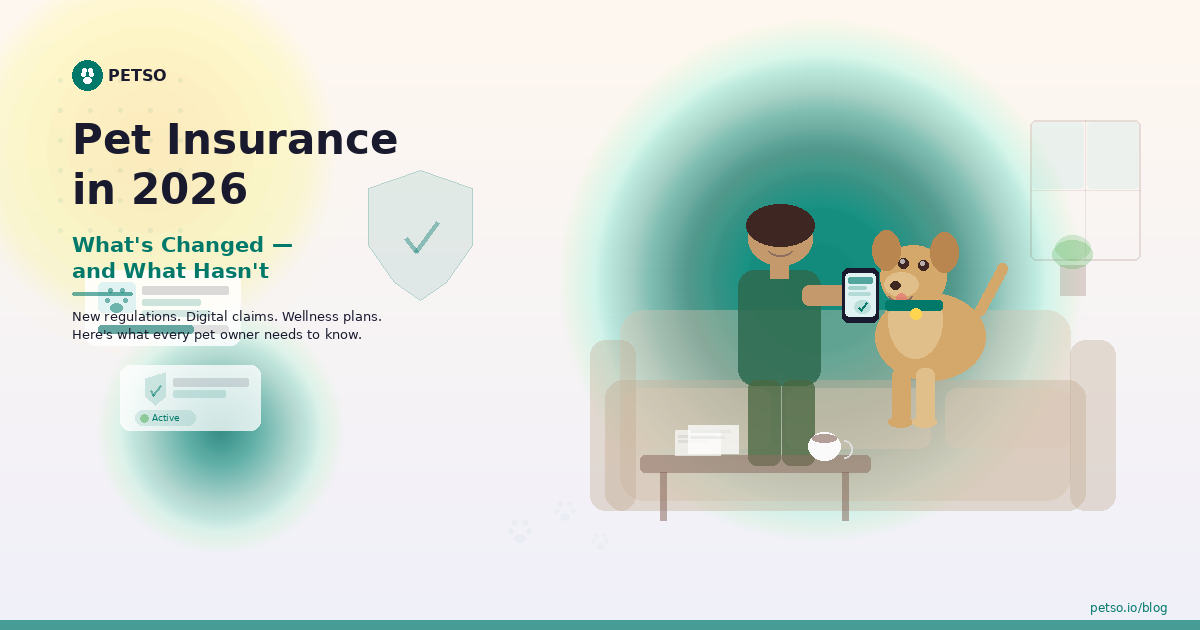 Pet Insurance in 2026: What's Changed and What Hasn't