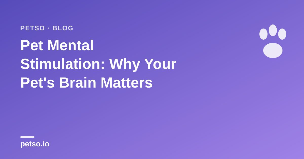 Pet Mental Stimulation: Why Your Pet's Brain Matters