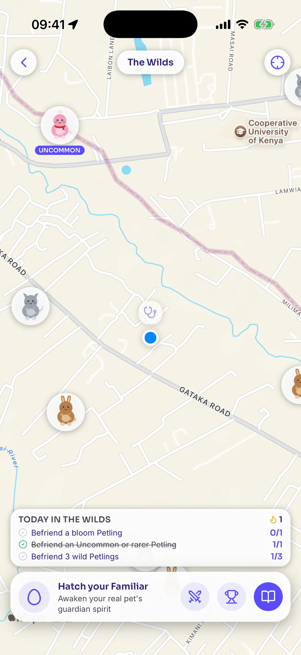 The Wilds map in the Petso app, showing wild Petlings on real streets with today's quests below