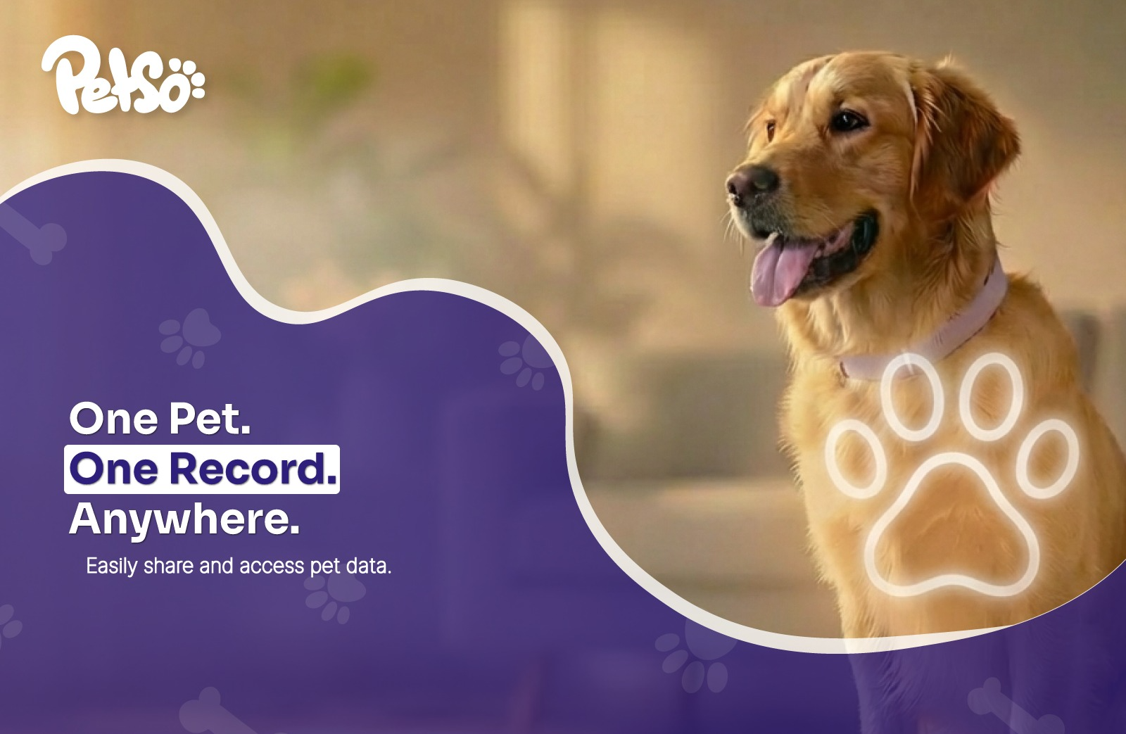 The Future of Pet Care With Blockchain