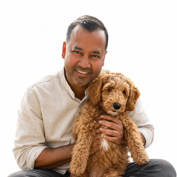 Javvad Azam, CEO & Founder
