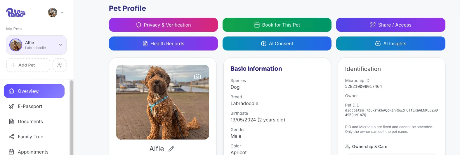 The Petso pet owner web app showing a pet profile