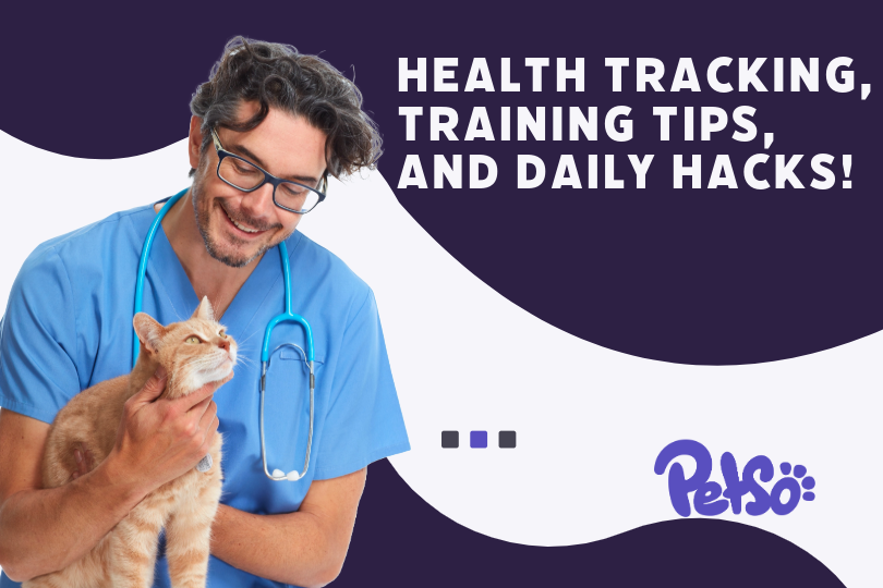Health tracking, paw-some tips, and daily care hacks!