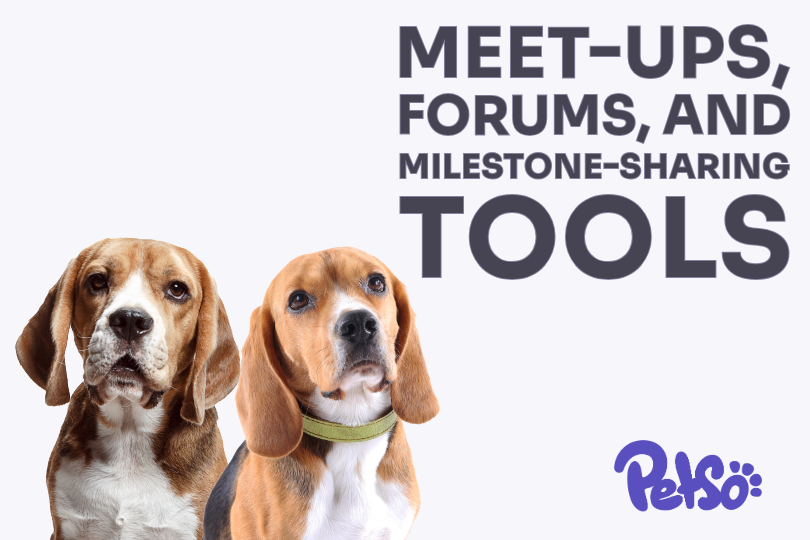 Petso connects pet lovers with meet-ups and technology