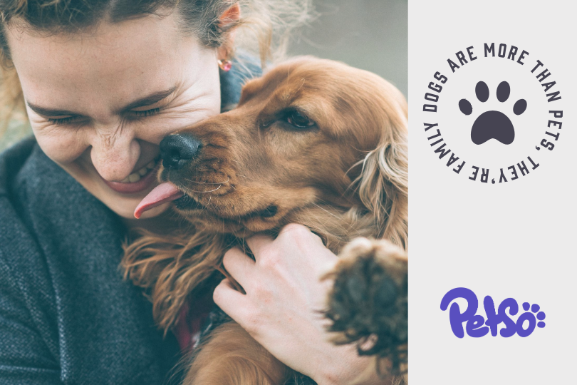 Boost your pet-parent relationship