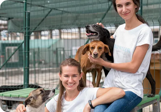 A shelter volunteer spending time with rescue dogs